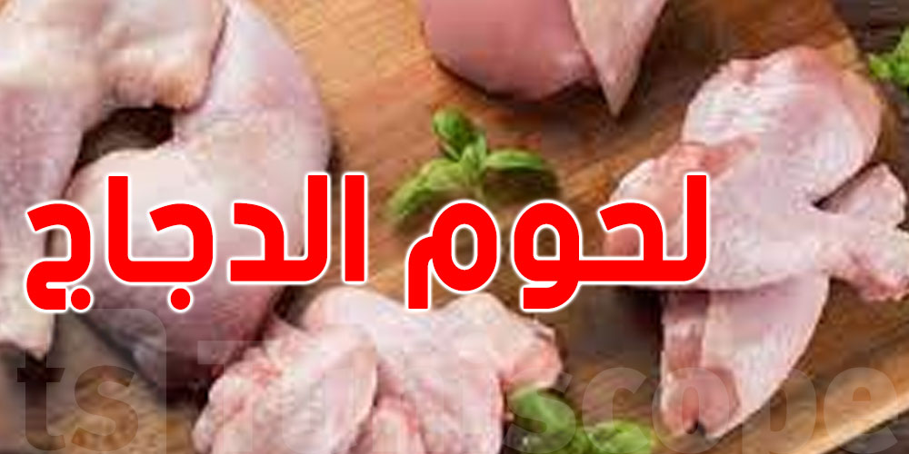 هذه اسعار الدواجن بعد الانخفاض