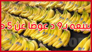 يبيع الكغ بـ9 دنانير: حجز 150 كغ من الموز لدى بائع تفصيل