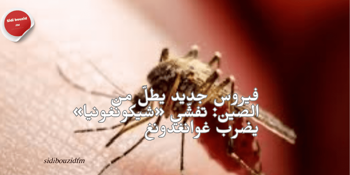 فيروس جديد يطلّ من الصين: تفشّي «شيكونغونيا» يضرب غوانغدونغ