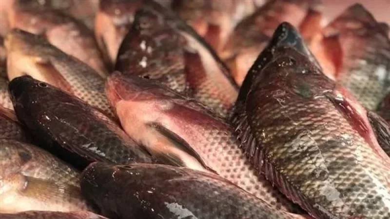 إيقاف صاحب محلات بيع سمك بسيدي بوزيد و صاحب مطعم فخم بسوسة