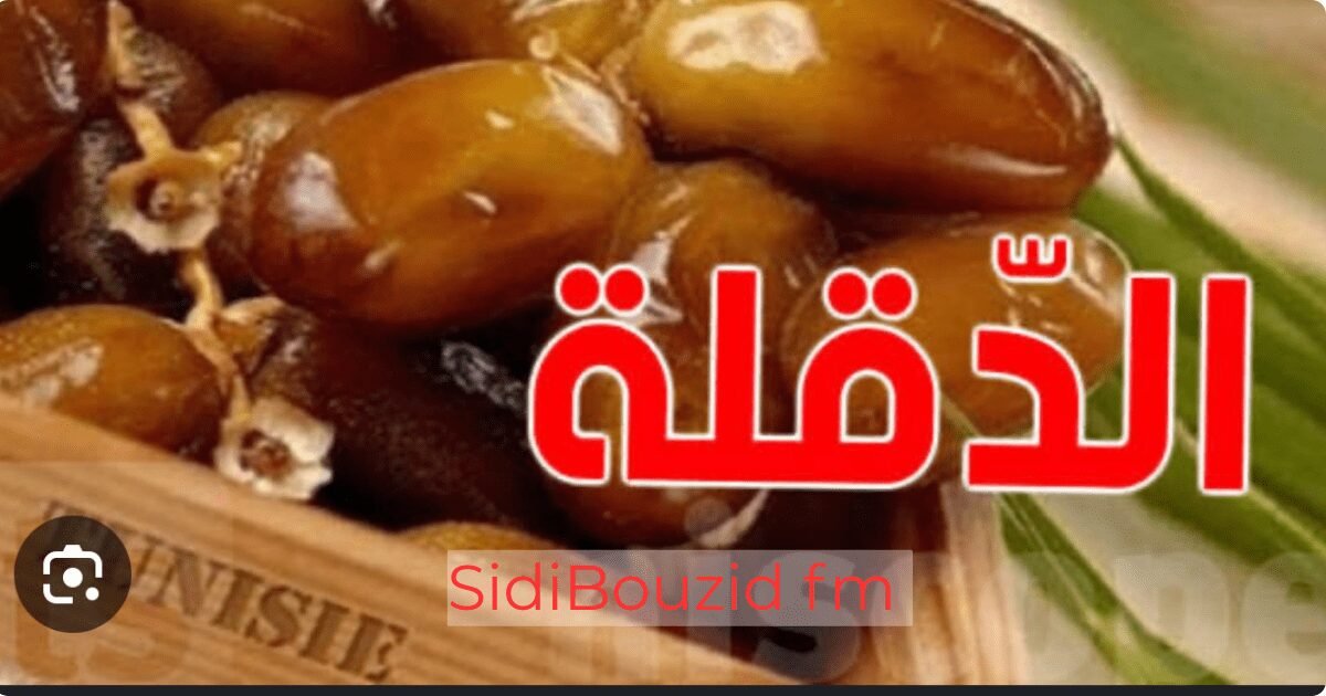 التمر في تونس: 300 صنف مختلف… و”الدقلة” ليست سوى نوع واحد