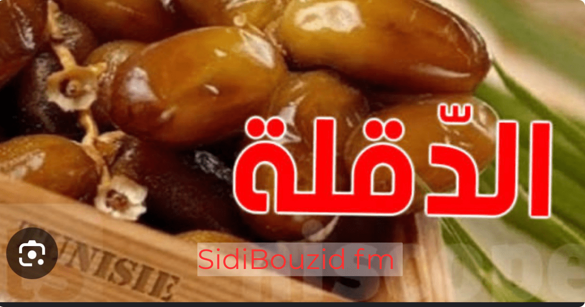 التمر في تونس: 300 صنف مختلف… و”الدقلة” ليست سوى نوع واحد