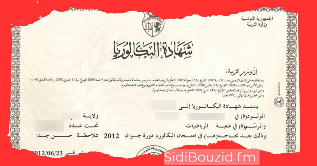 نتائج بكالوريا 2026 في تونس: نسبة النجاح تبلغ 50.72% بعد دورة المراقبة