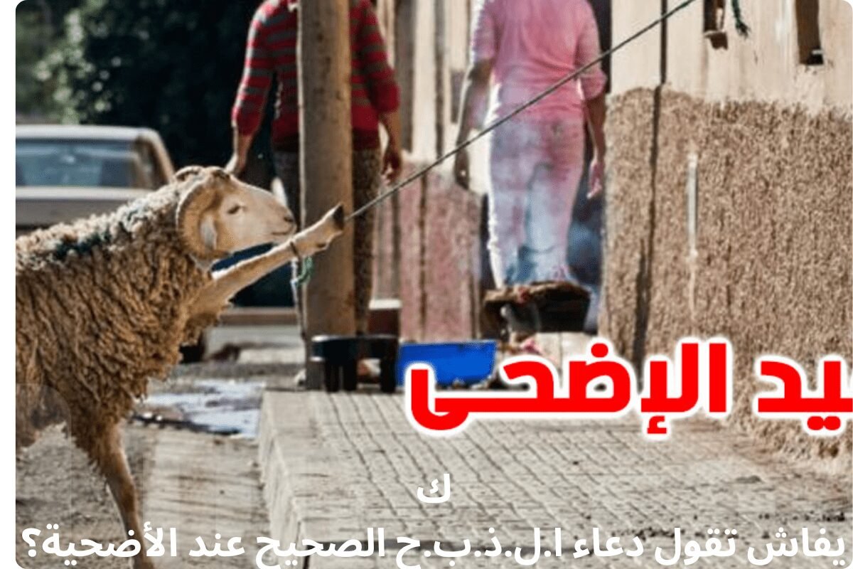 كيفاش تقول دعاء ا.ل.ذ.ب.ح الصحيح عند الأضحية؟