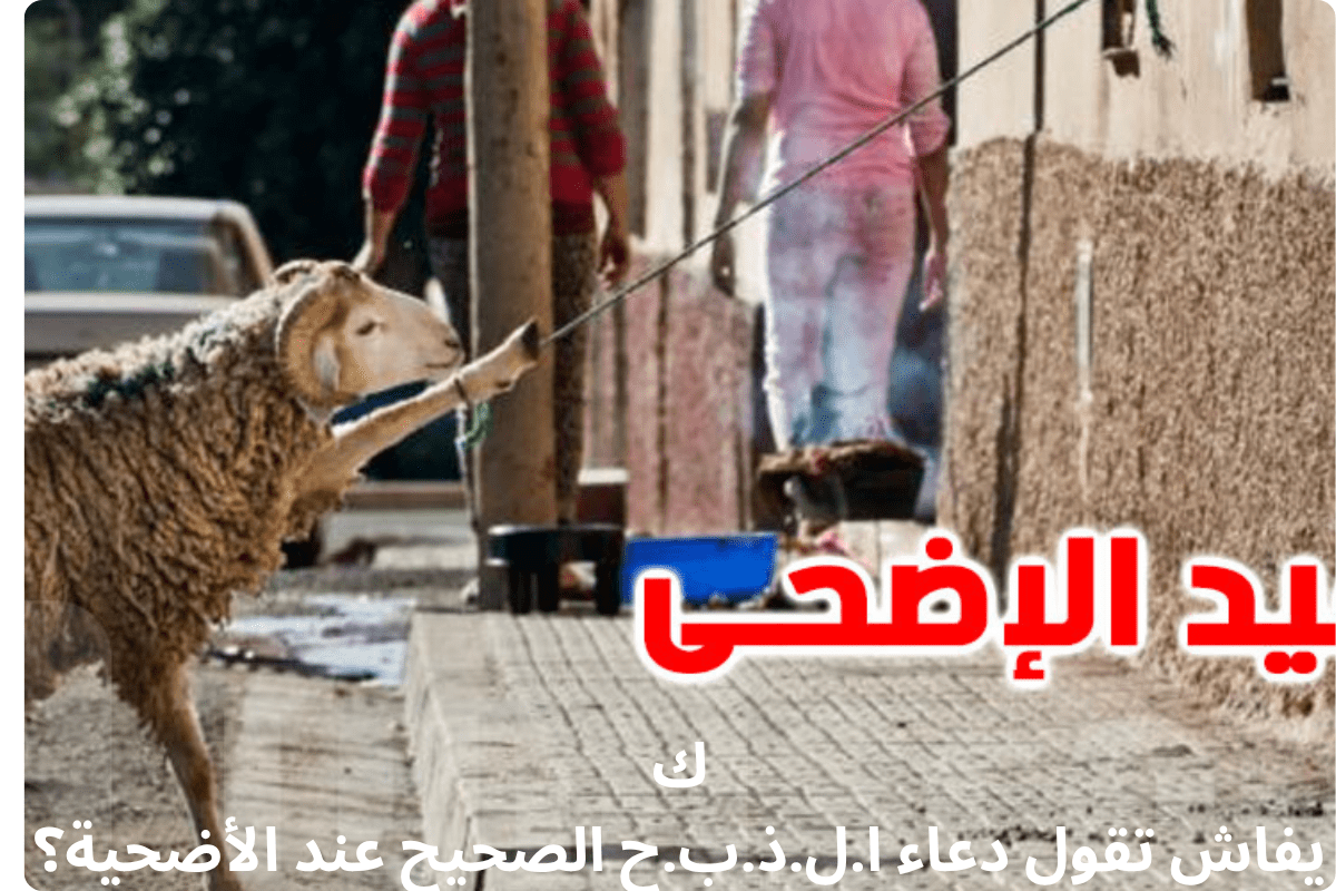 كيفاش تقول دعاء ا.ل.ذ.ب.ح الصحيح عند الأضحية؟