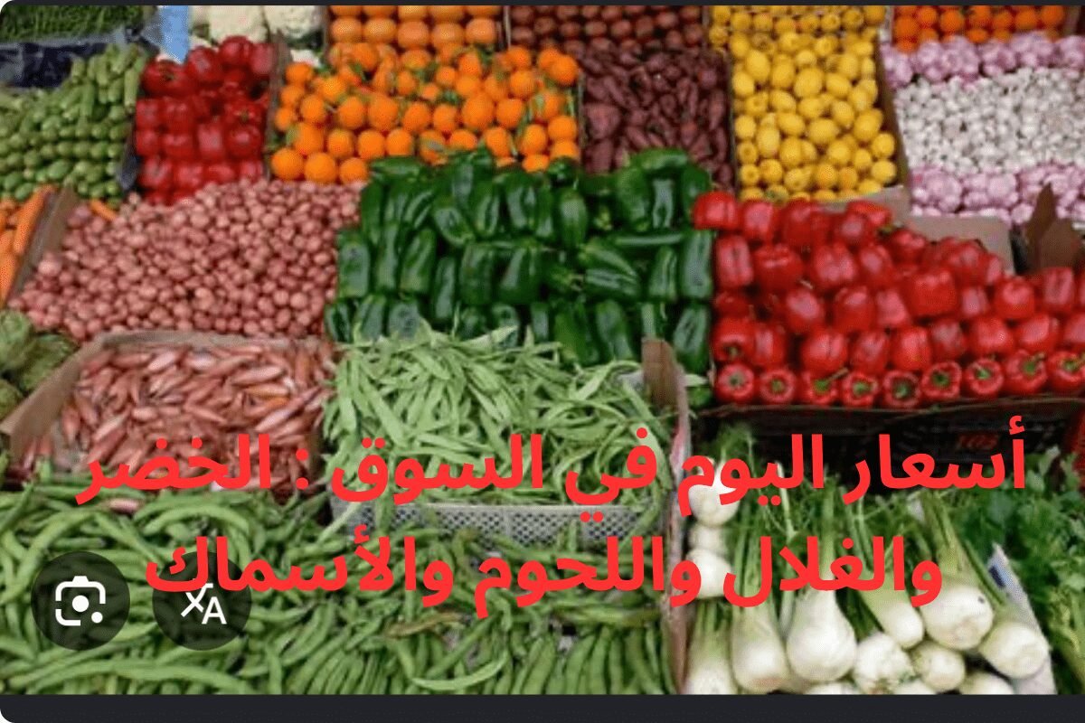 أسعار اليوم في السوق : الخضر والغلال واللحوم والأسماك